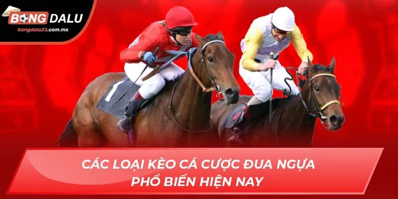 Các loại kèo cá cược đua ngựa phổ biến hiện 