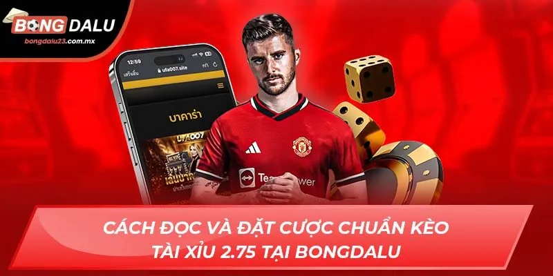 Cách Đọc Và Đặt Cược Chuẩn Kèo Tài Xỉu 2.75 Tại Bongdalu
