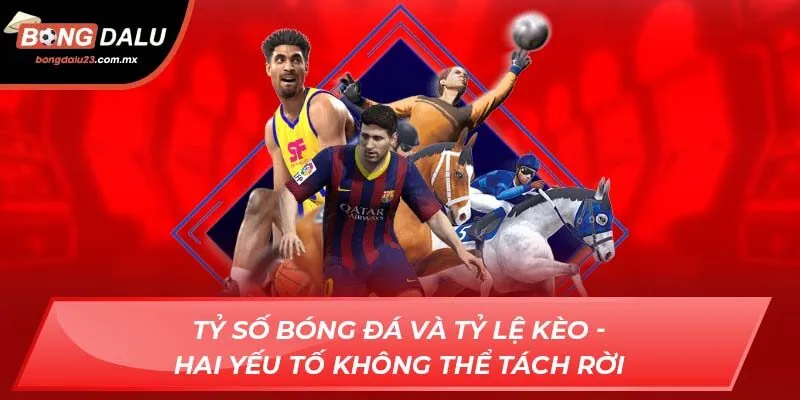 Tỷ số bóng đá và tỷ lệ kèo - Hai yếu tố không thể tách rời